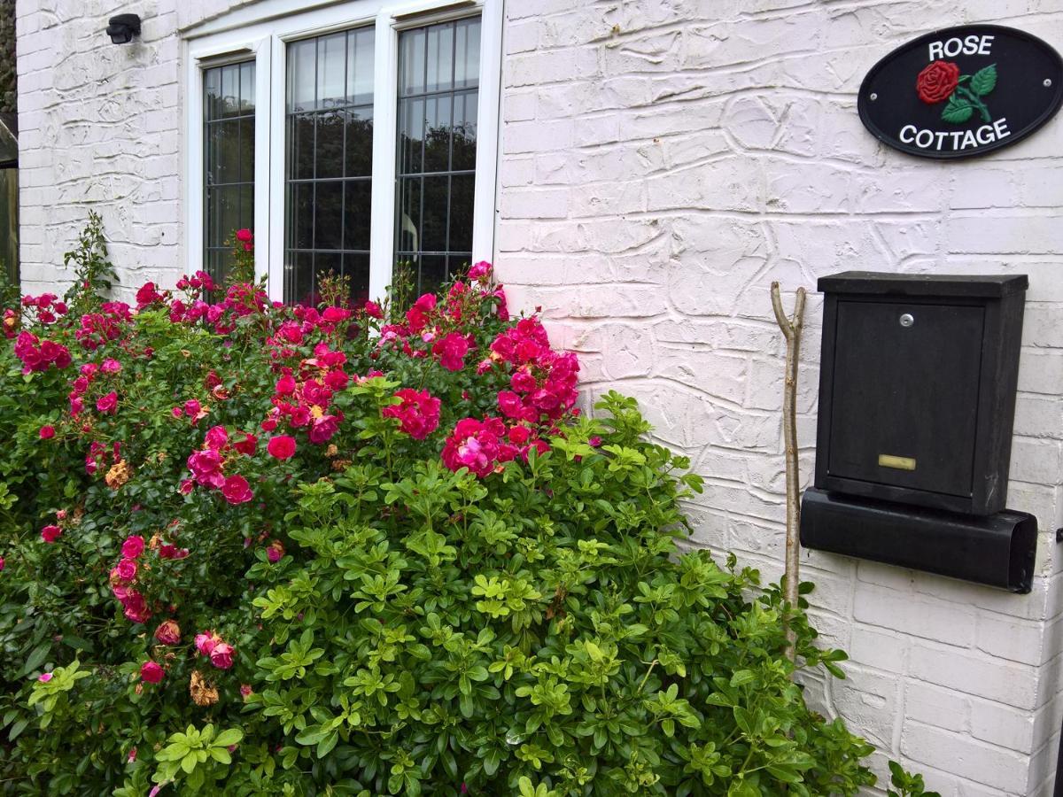 Rose Cottage, Chard Esterno foto